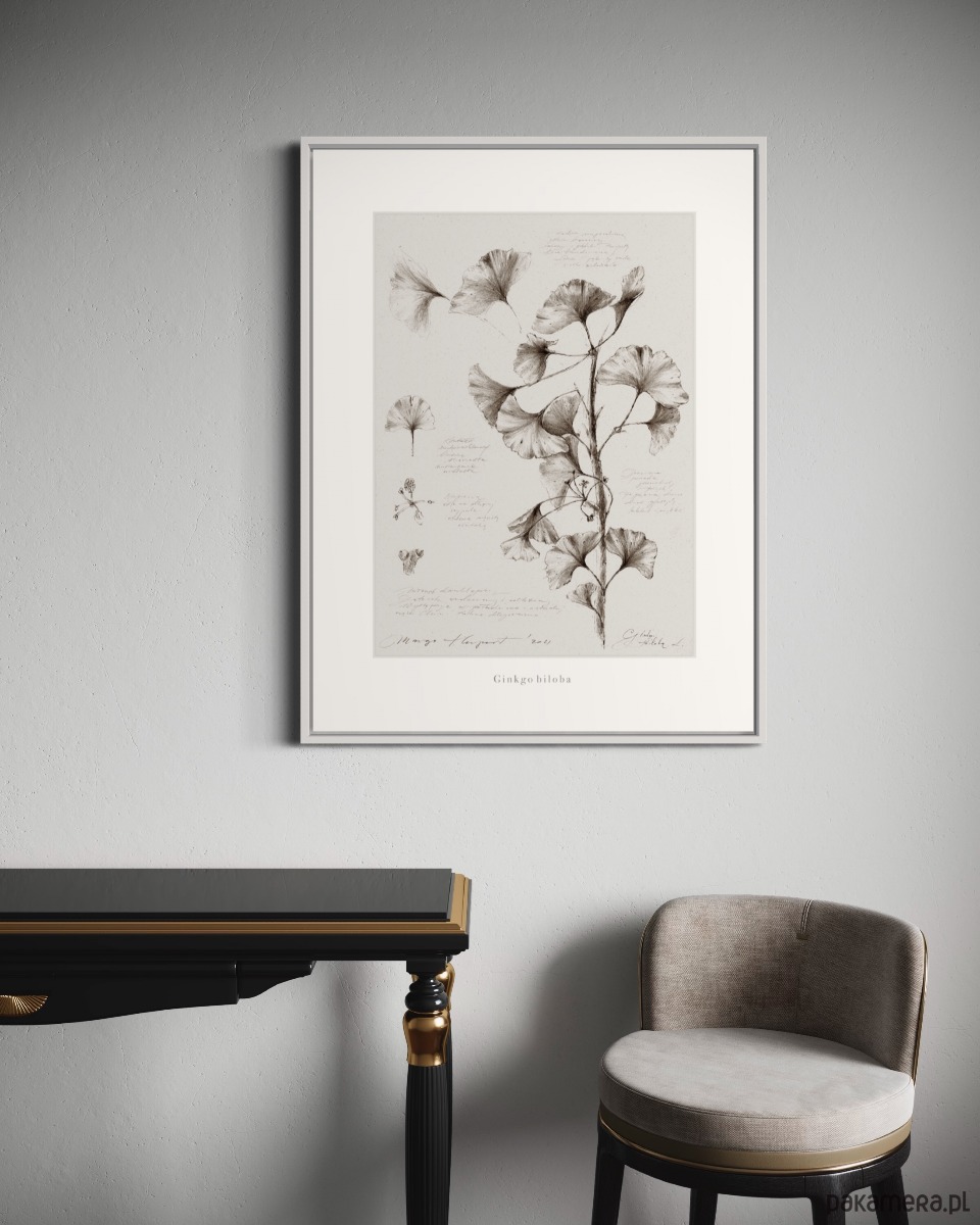 Ginkgo Biloba Print 3672096 Pakamera Pl