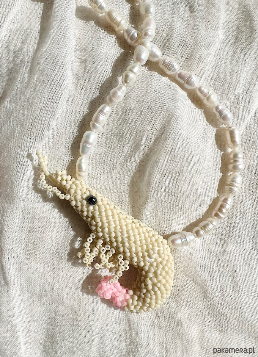 chokery Naszyjnik  Krewetka 3