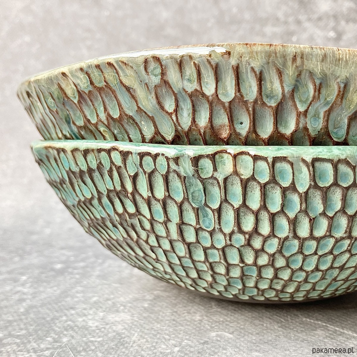 miski i misy Miska *Lizard* 20cm 5