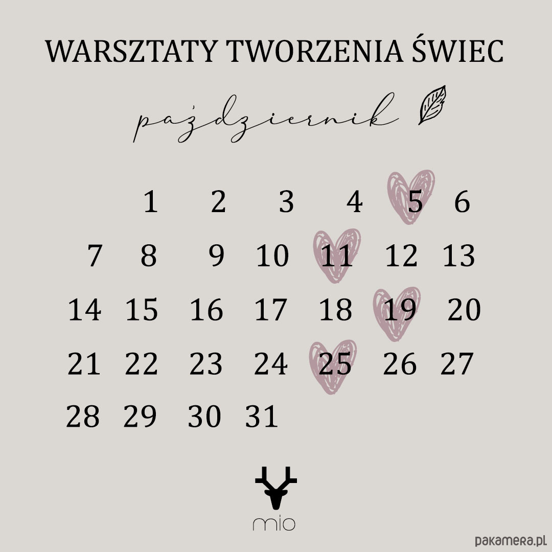 Tworzenie świec sojowych Warsztaty tworzenia świec - wieczór Panieński 6
