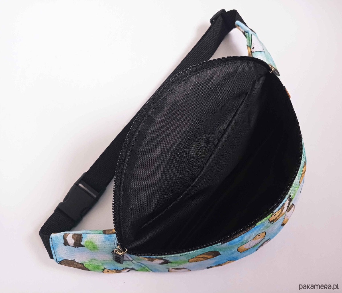 saszetka nerka Nerka świnki morskie na niebieskim tle 2