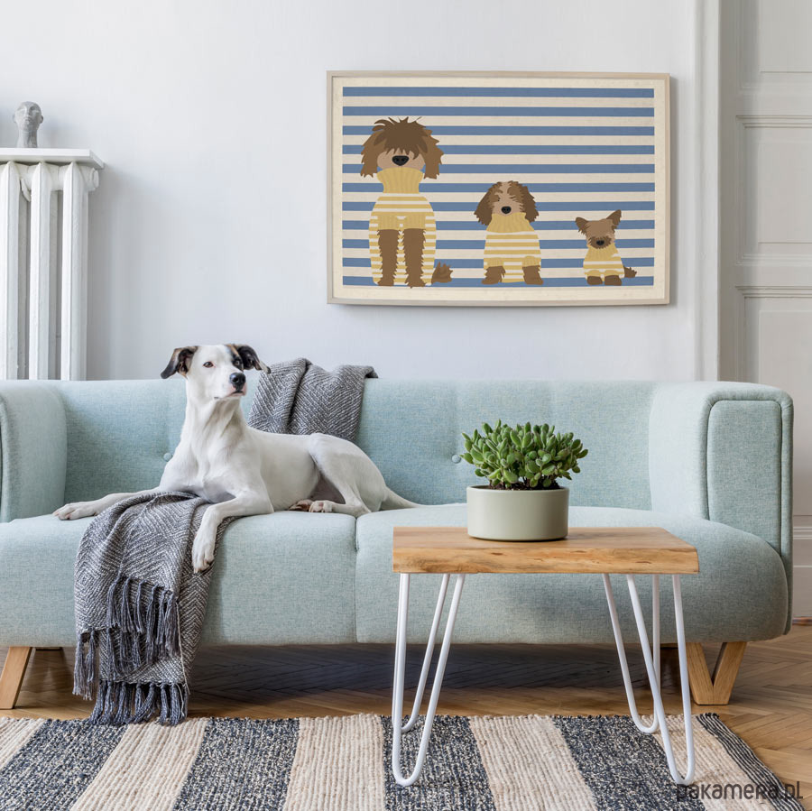 plakaty Psy w swetrach - plakat 50x70 cm fine art 1