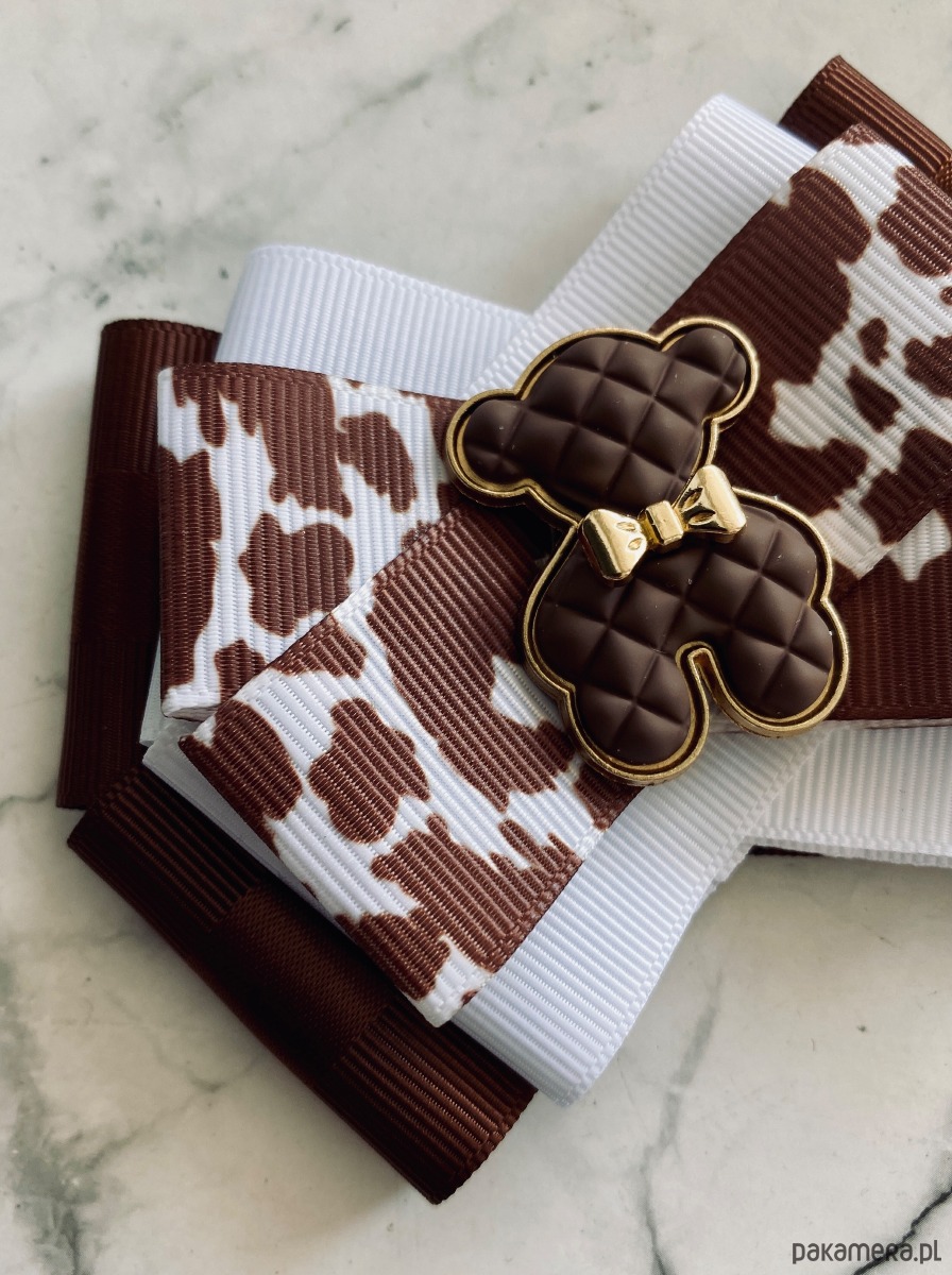 broszki Jesienna Brosza  z  czekoladowym MISIEM Nowość 2