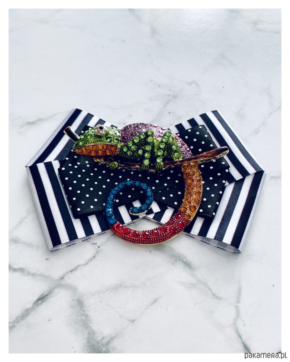 broszki Brosza  z Ogromnym  Kameleonem Kolekcja COLOR 5