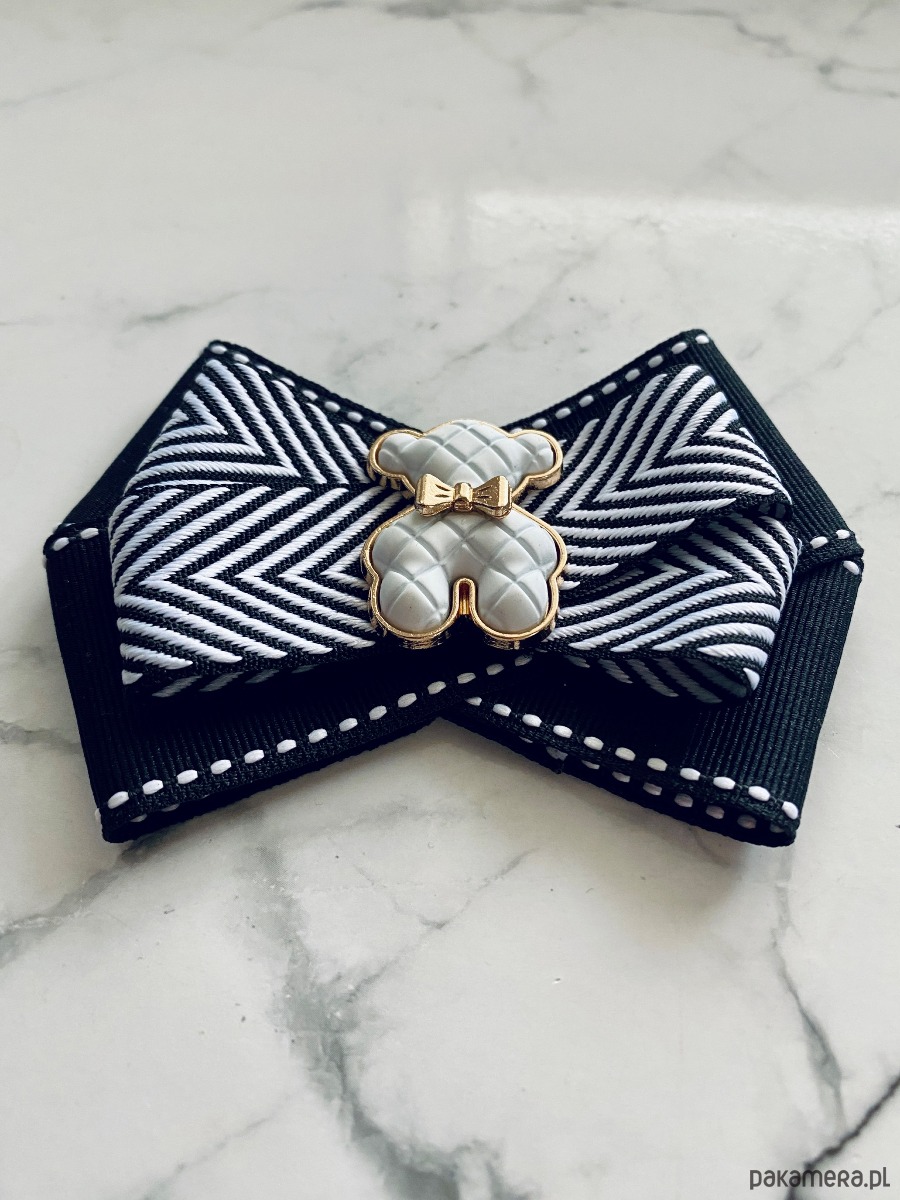 broszki Brosza z MISIEM Nowość 3