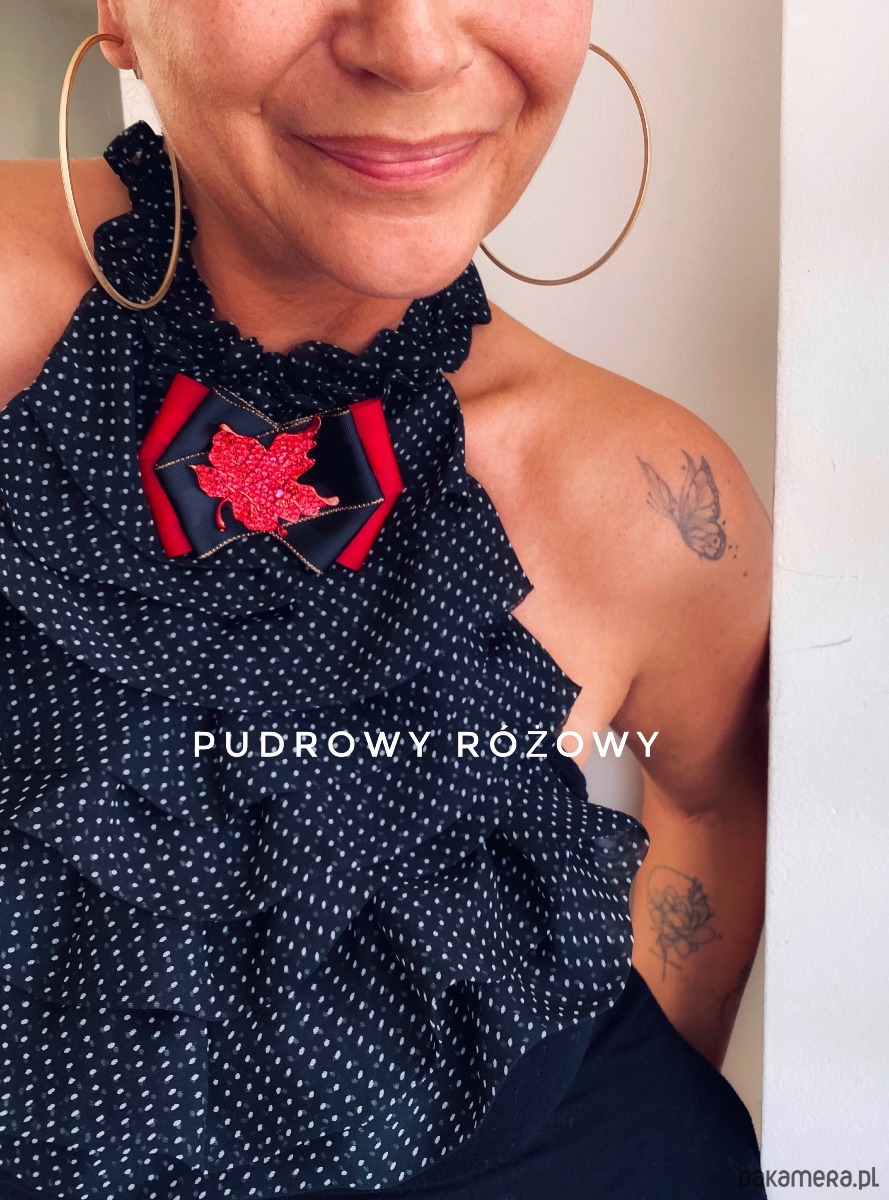 broszki Brosza z unikatowym liściem z zielonych kryształków  Liść 9