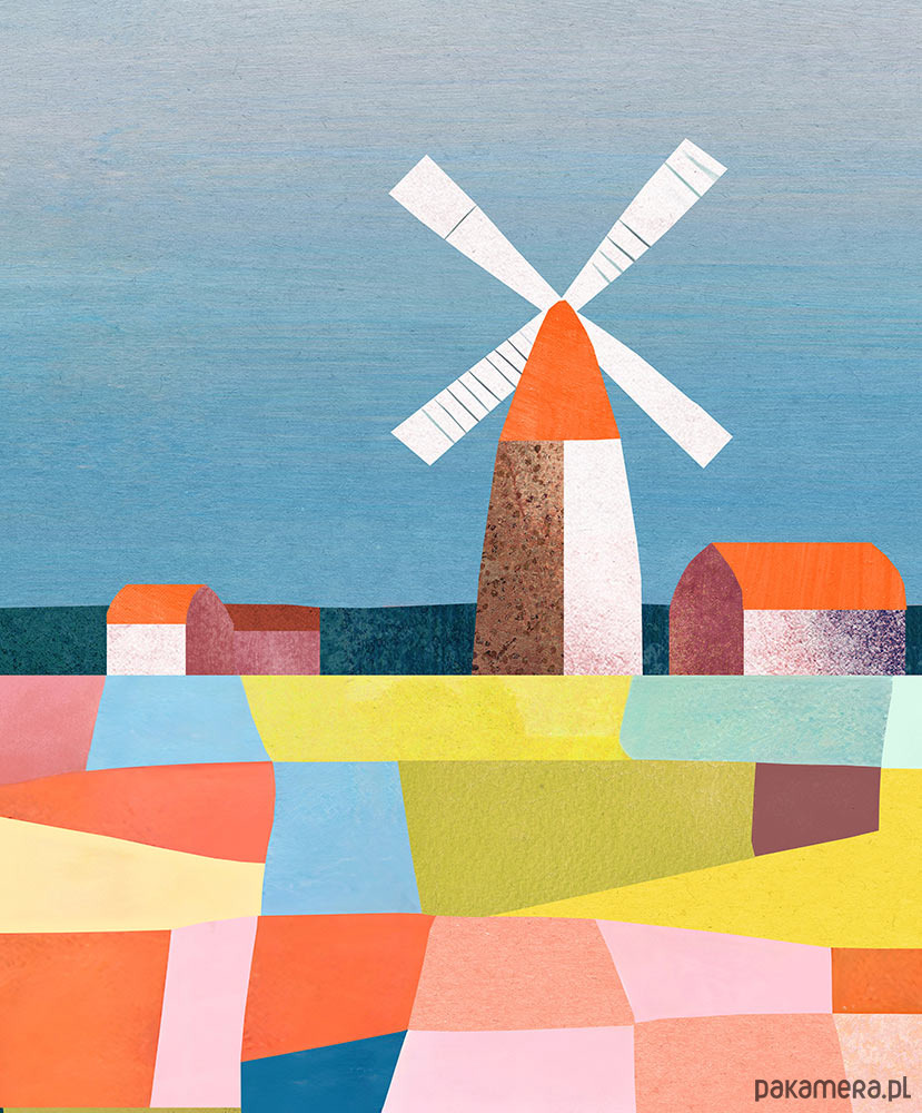 plakaty Holandia - pola kwiatowe - plakat 50x70 cm 2