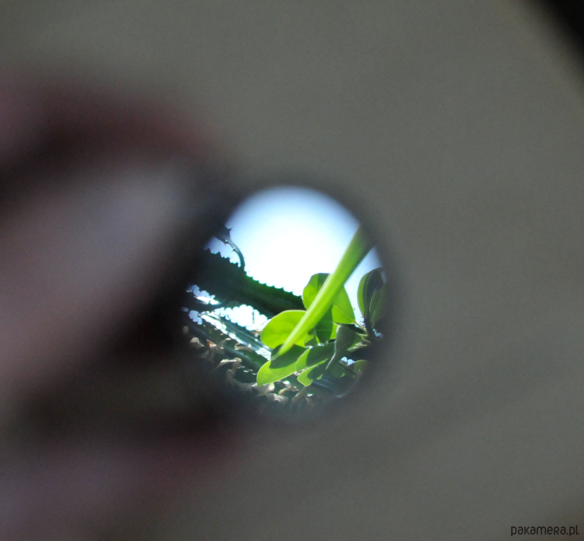 wisiory Whisper Mirror 2