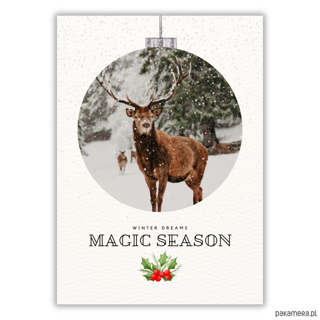 plakaty Plakat Magic season 2