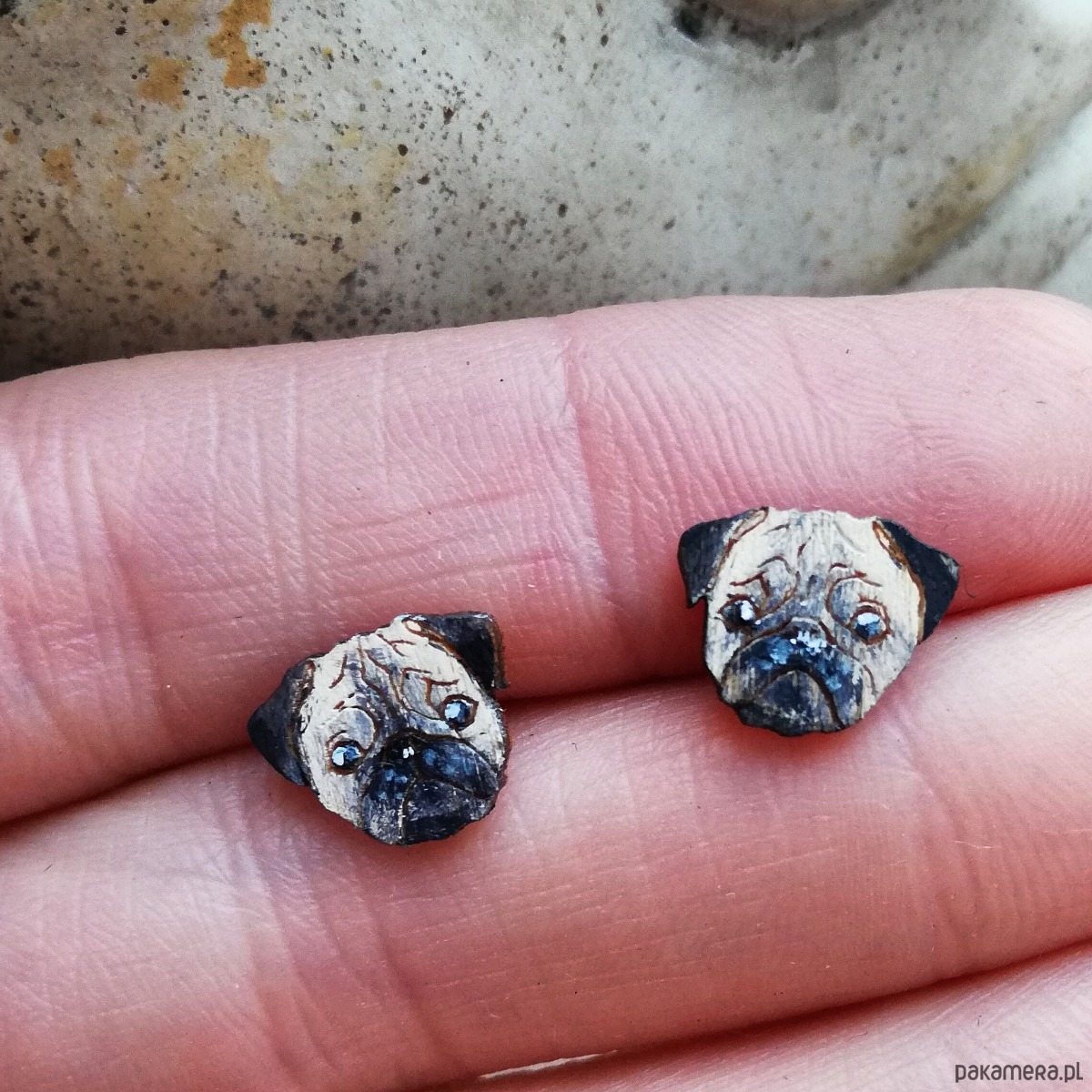 Mopsy 2919638 Pakamera.pl