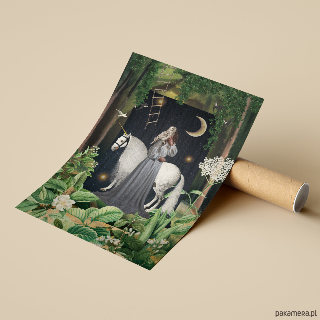 plakaty Plakat Magic is all around 5