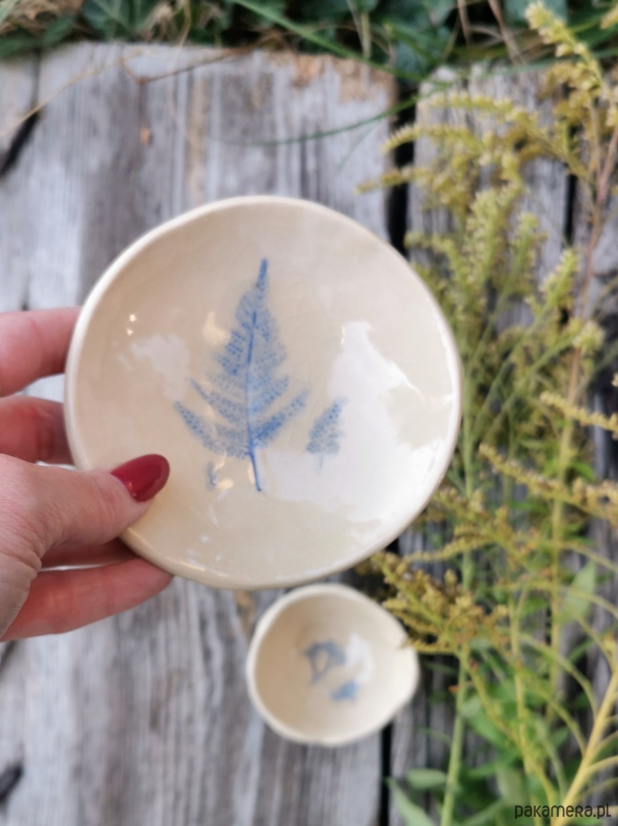 pojemniki na biżuterię Ceramiczny miseczka PAPROĆ 3