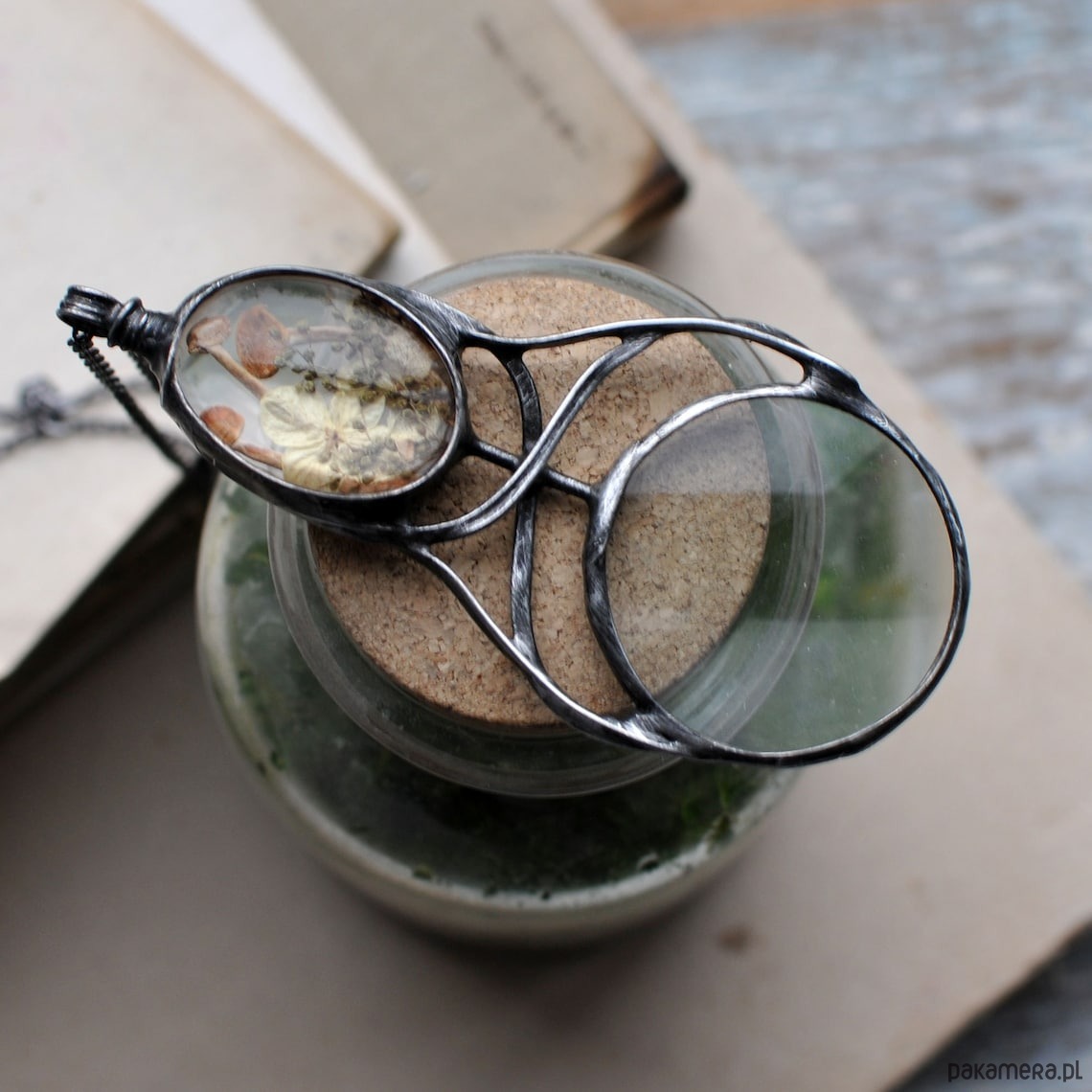 wisiory Naszyjnik lupa grzybiarka 2