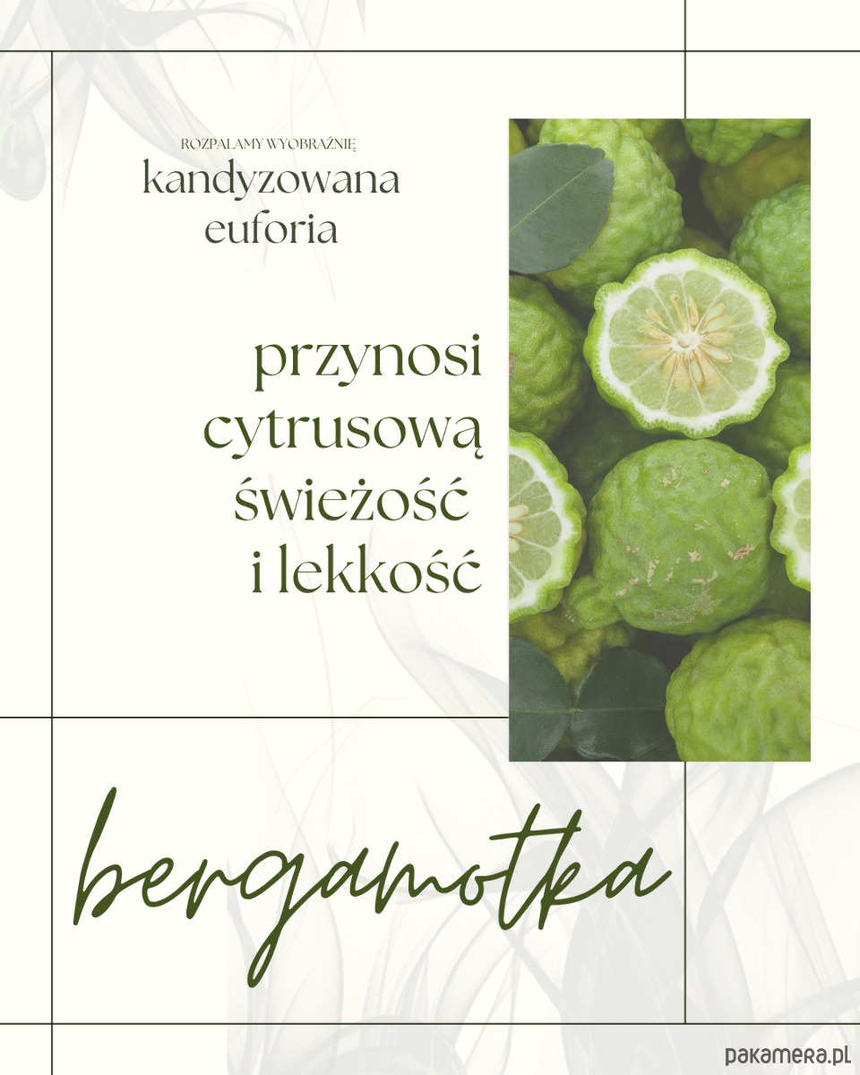 świeczniki i świece Kandyzowana euforia 2