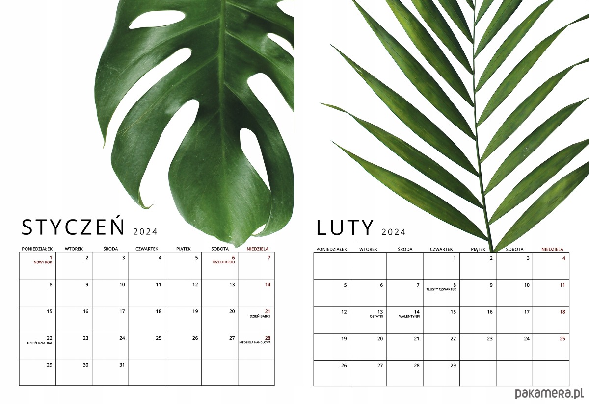 kalendarze i plannery Kalendarz ścienny na Spirali Botaniczny A3 Premium 1