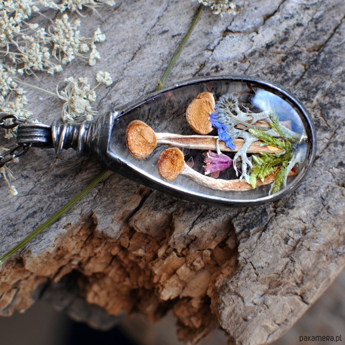 wisiory Las i Grzybki 1