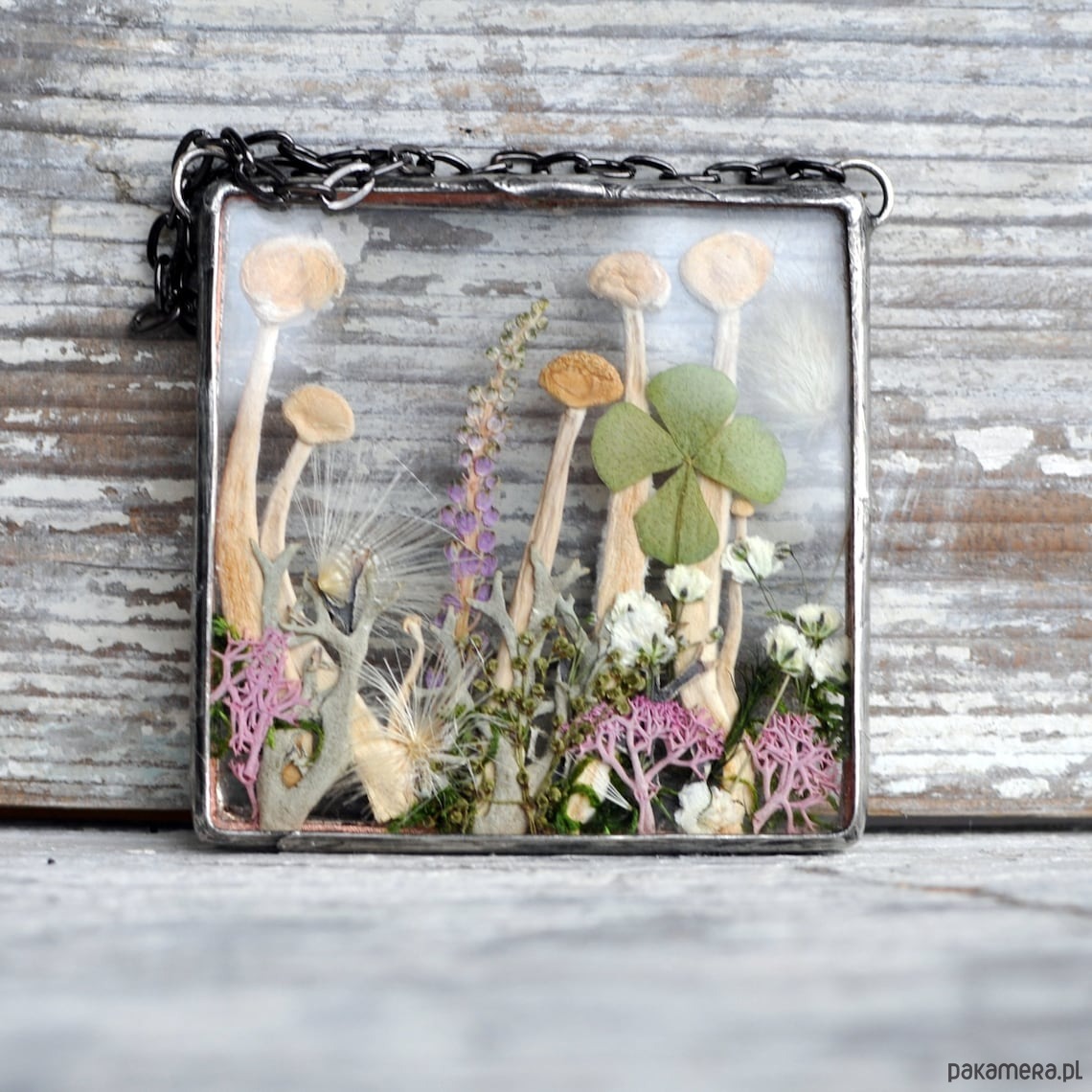 Ozdoby na ścianę Urocza łączka - dekor z grzybkami 1