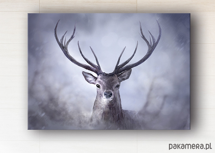 obrazy Obraz - Jeleń - wydruk na płótnie 1