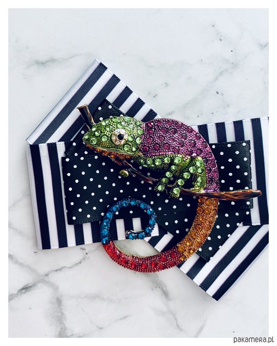 broszki Brosza  z Ogromnym  Kameleonem Kolekcja COLOR 3