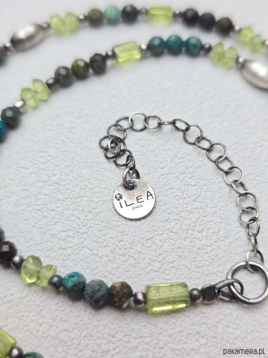 srebrne naszyjniki Naszyjnik Ginko 2