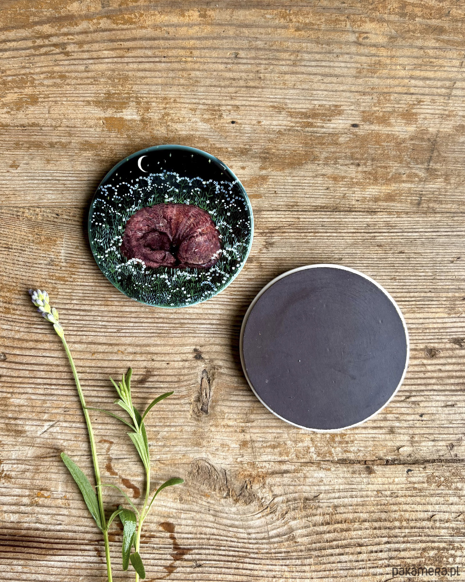 magnesy Śpiący jamniczek- Jamnik- Magnes ceramiczny- Ilustracja- Zwierzaki 1