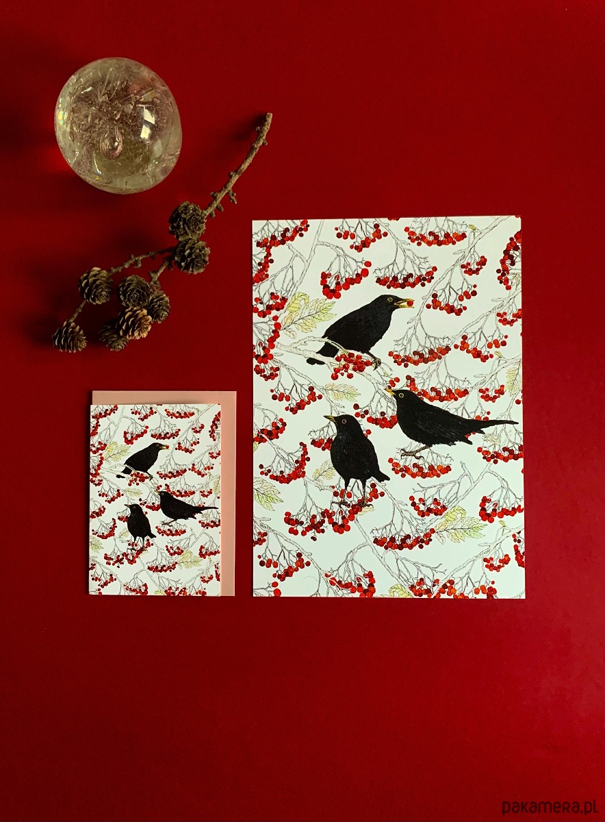 kartki okolicznościowe - wydruki Kosy w jarzębinie- Kartka- Grafika- Ilustracja- Ptaki 4
