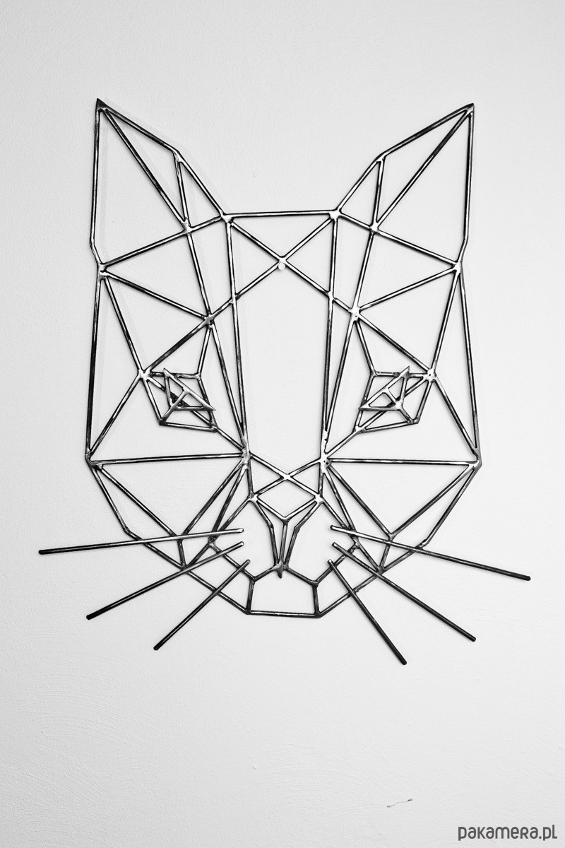 Geometryczna Puma Dodatki Różne Pakamerapl