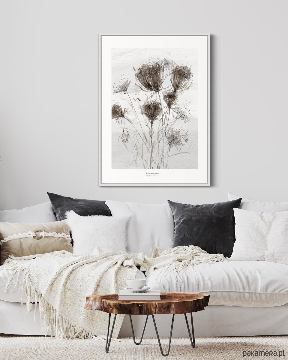 plakaty Plakat Dzika marchew / Fine Art Print 2