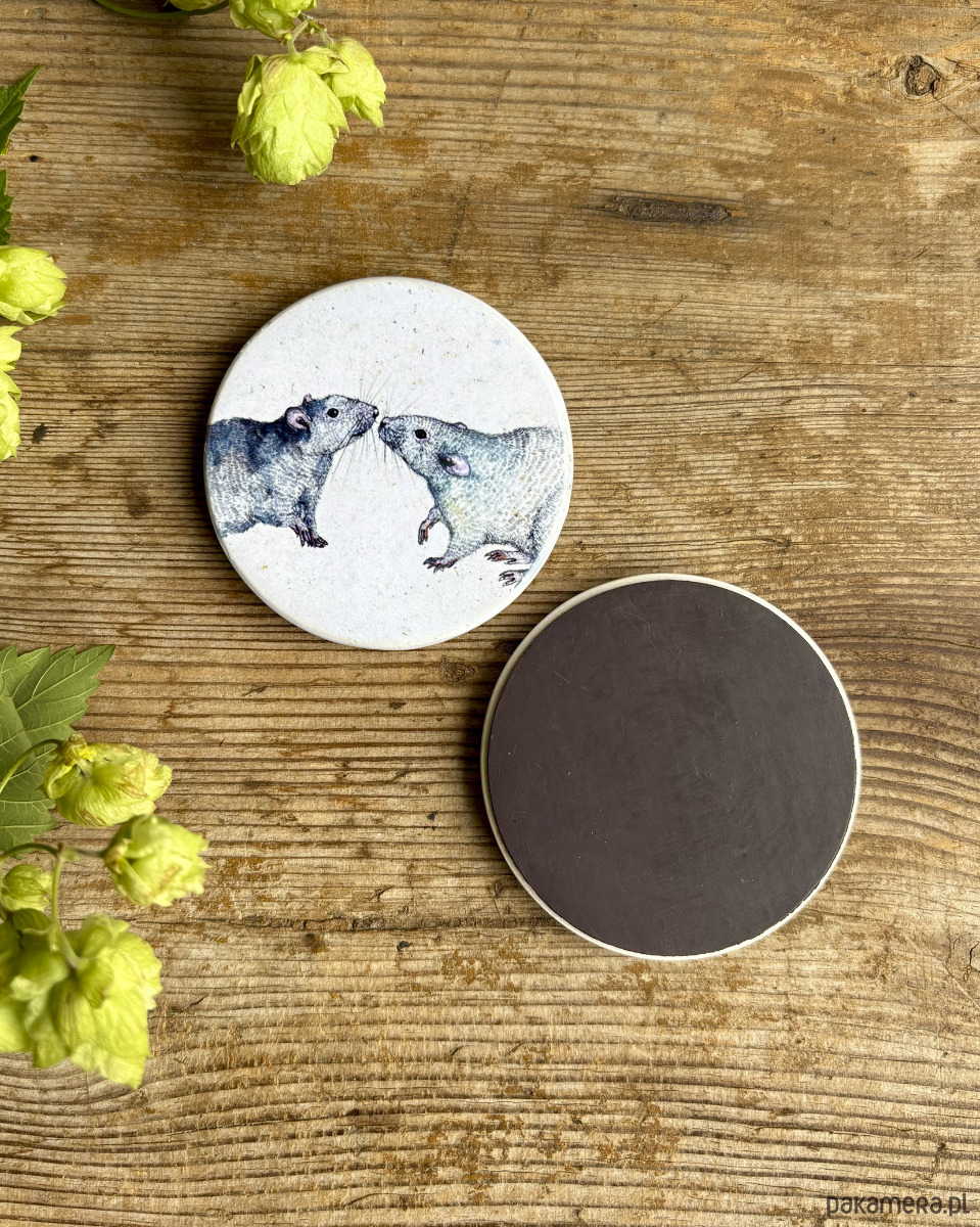 magnesy Szczurki- Magnes ceramiczny- Ilustracja- Zwierzaki 1