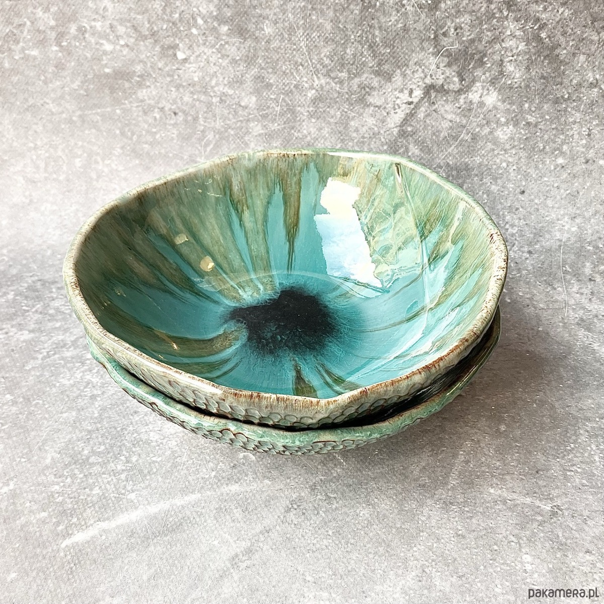 miski i misy Miska *Lizard* 20cm 4