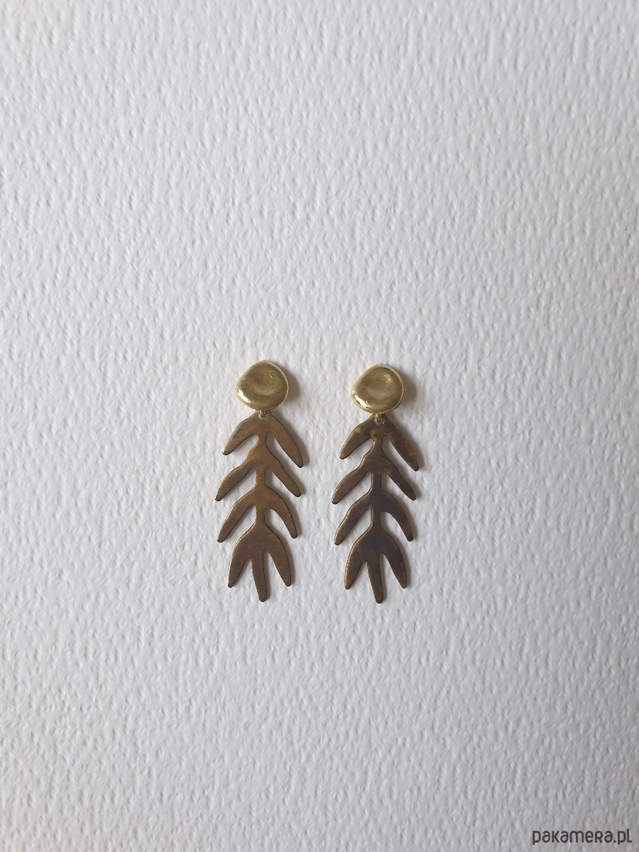 kolczyki z mosiądzu Kolczyki GARDEN OF EDEN  mosiądz, liście długie oksyda brązy 4