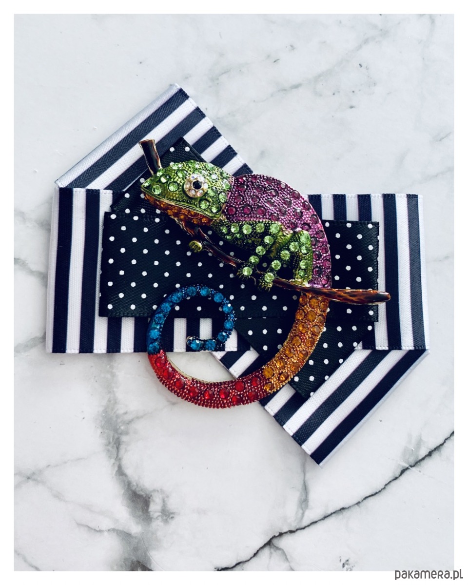 broszki Brosza  z Ogromnym  Kameleonem Kolekcja COLOR 6