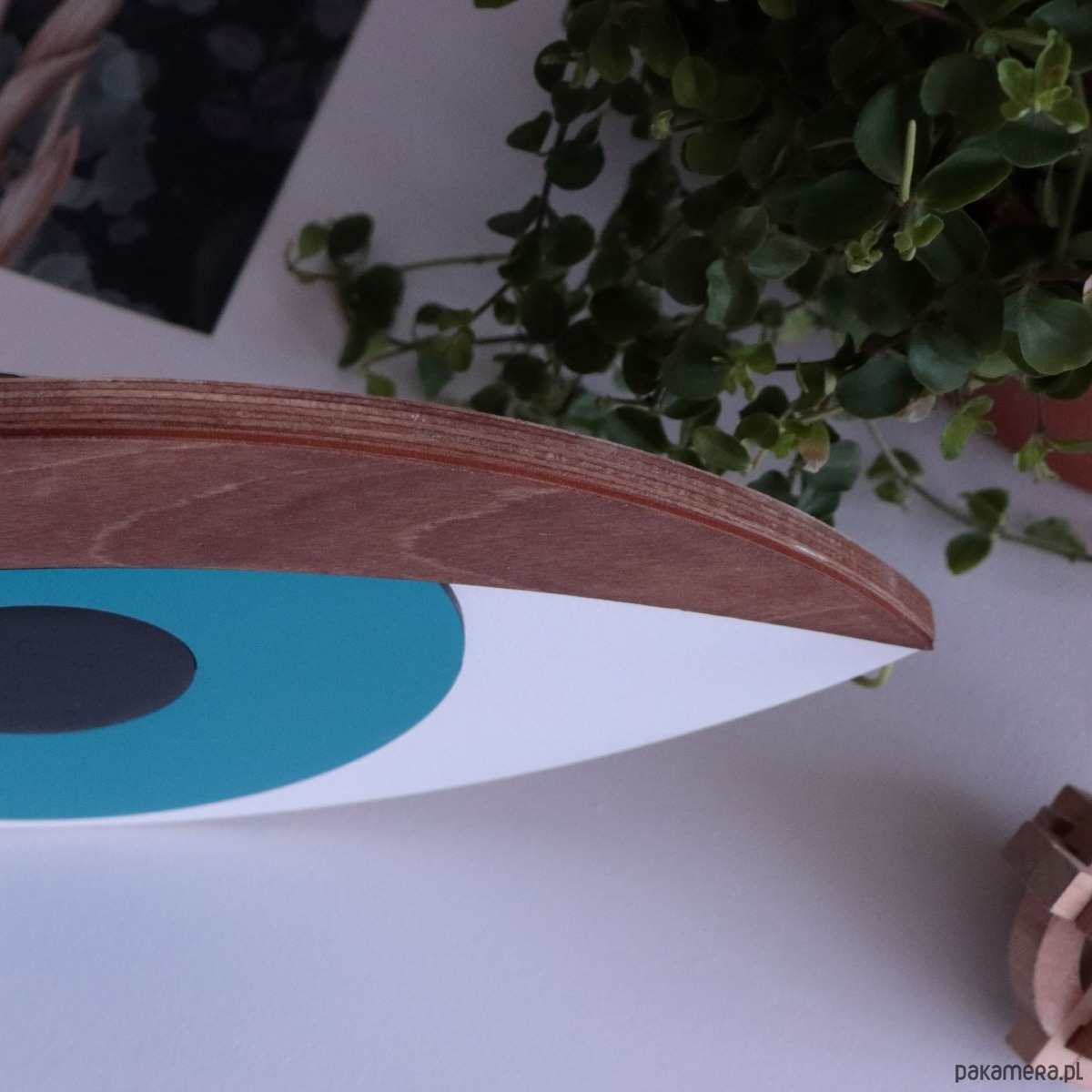 Ozdoby na ścianę Oko 3D Tramontana orzechowa powieka 2