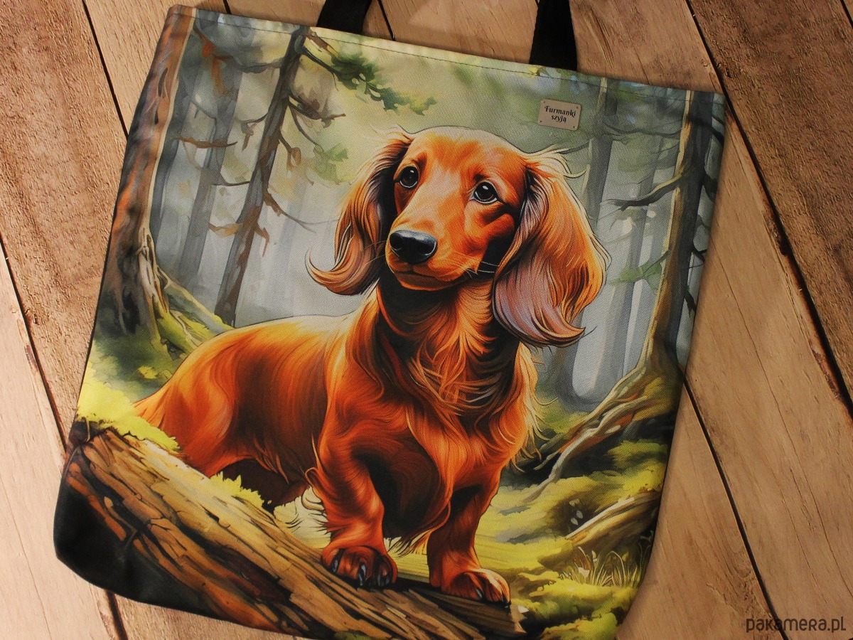 torby na ramię Torba jamnik długowłosy 1