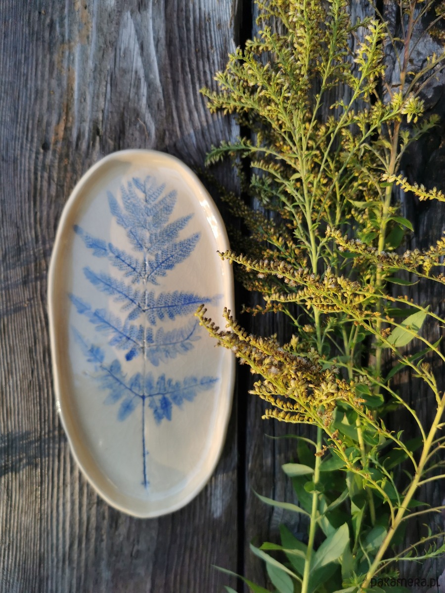 pojemniki na biżuterię Talerz Ceramiczny Paproć 1