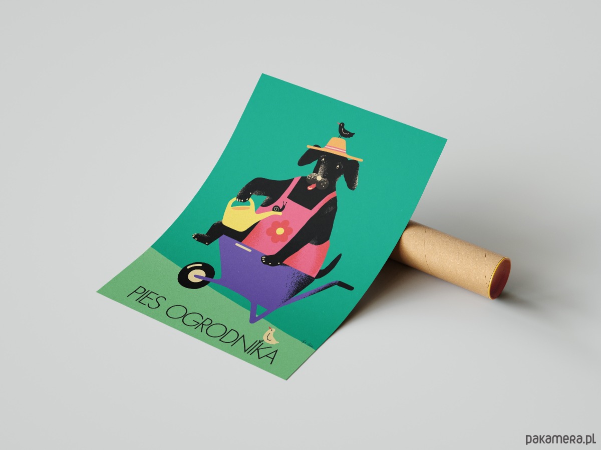 plakaty Plakat "Pies ogrodnika" 1