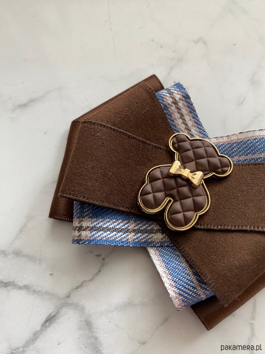 broszki Jesienna Brosza  z  czekoladowym MISIEM Nowość 6