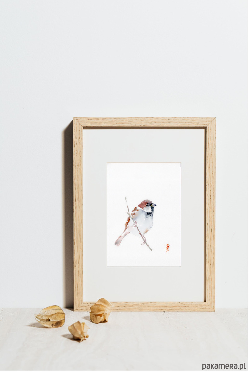 obrazy Oryginalna akwarela. Wróbel 1