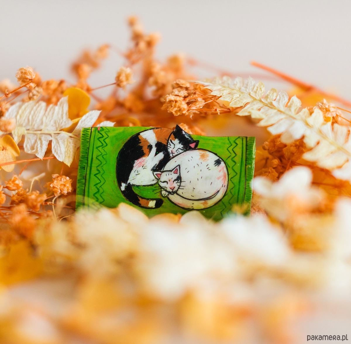 broszki Broszka na prezent dla kociary 1