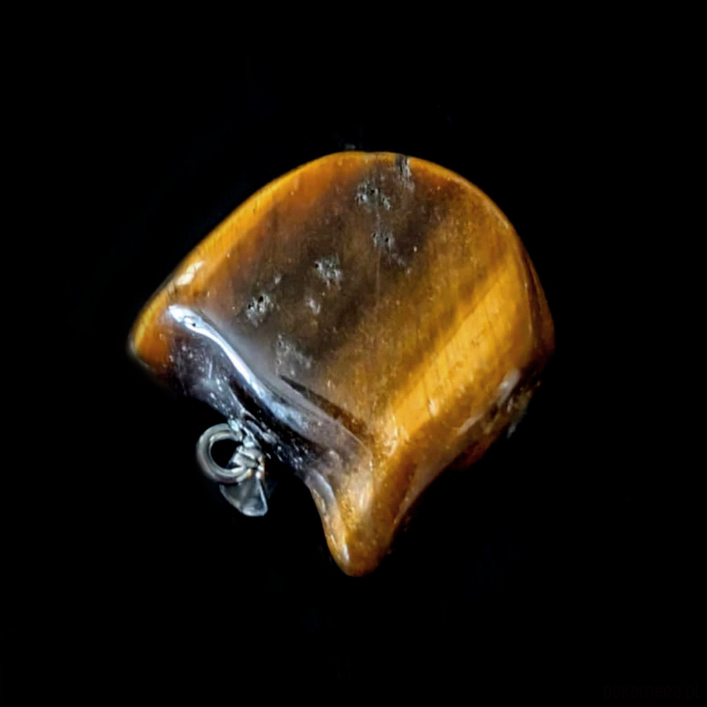 wisiory Kociątko tygrysiątko 3