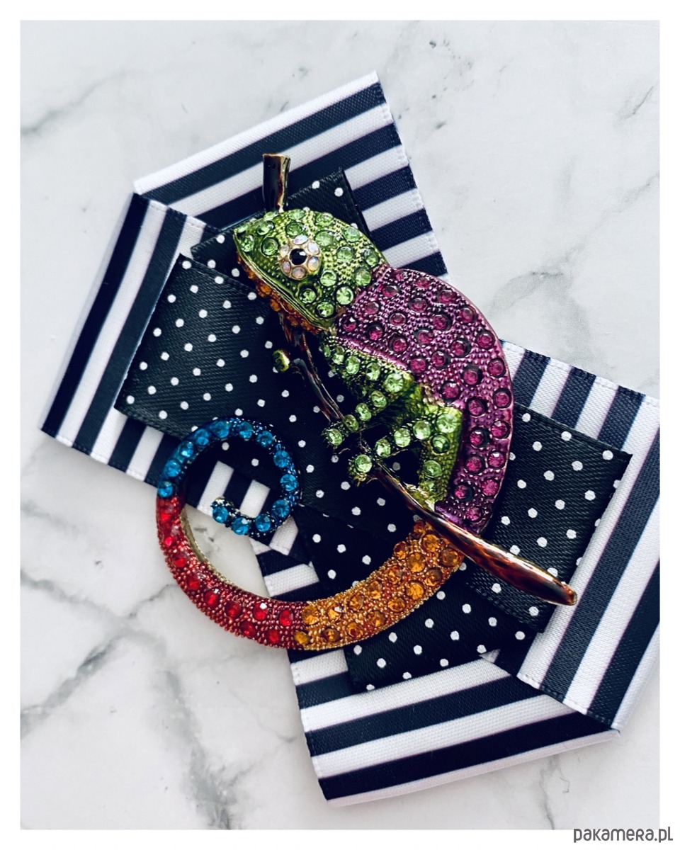 broszki Brosza  z Ogromnym  Kameleonem Kolekcja COLOR 1