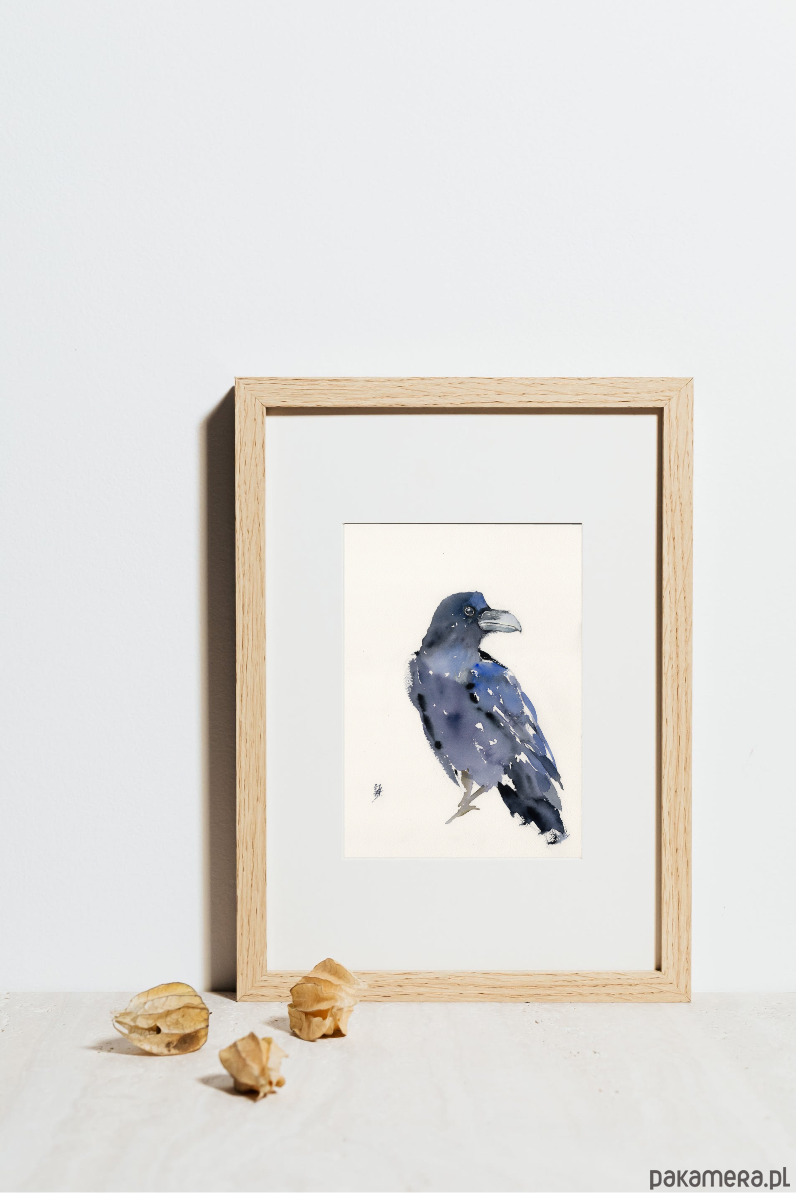 obrazy Oryginalna akwarela. Kruk 1