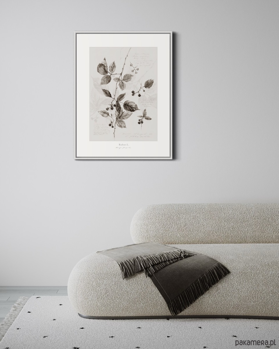 plakaty Plakat Jeżyna 1