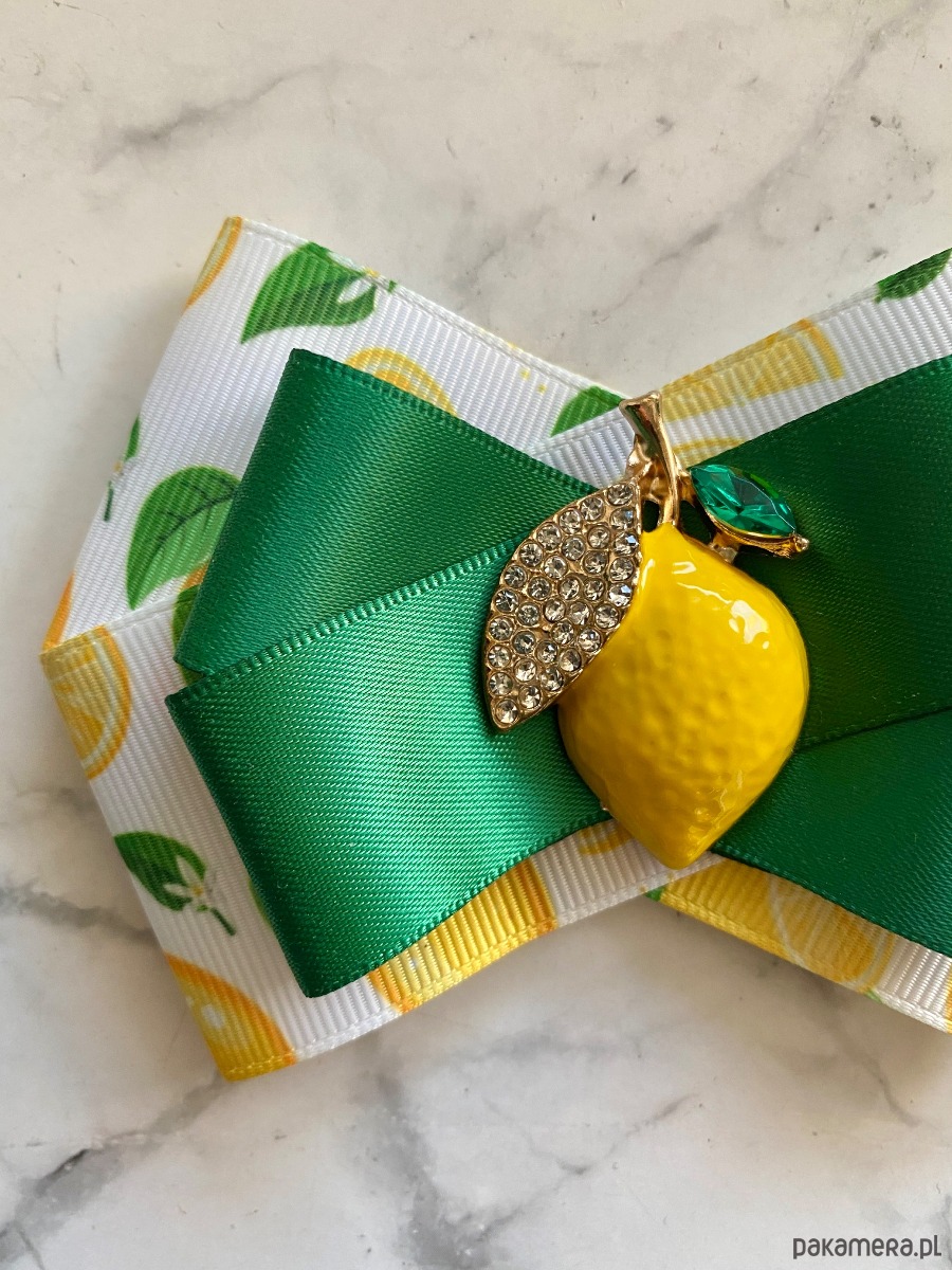 broszki Brosza z Cytryną Kolekcja Limitowana  FRUIT Nowość 5