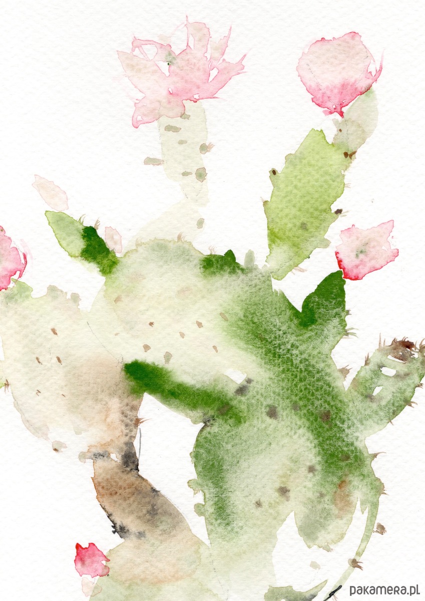 obrazy Oryginalna akwarela. Kaktus 2