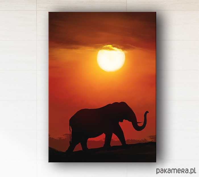 obrazy Obraz - Afryka 2 - wydruk na płótnie 1