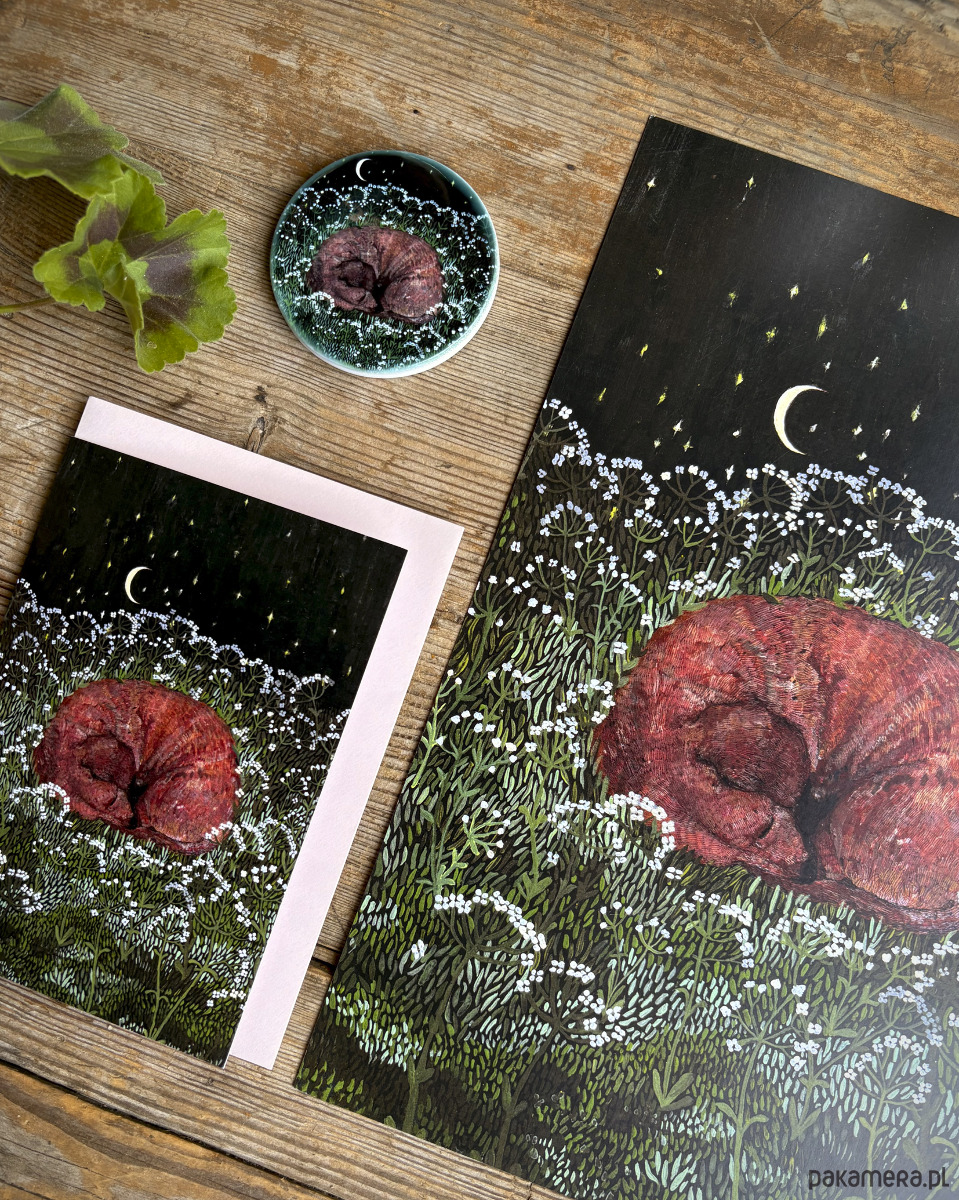 magnesy Śpiący jamniczek- Jamnik- Magnes ceramiczny- Ilustracja- Zwierzaki 2