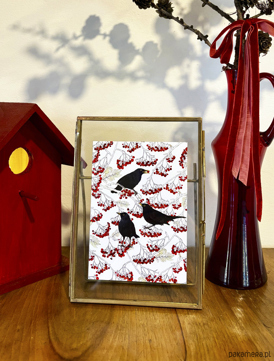 kartki okolicznościowe - wydruki Kosy w jarzębinie- Kartka- Grafika- Ilustracja- Ptaki 5