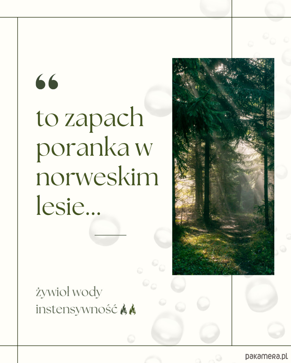 świeczniki i świece Skandynawska rosa 1