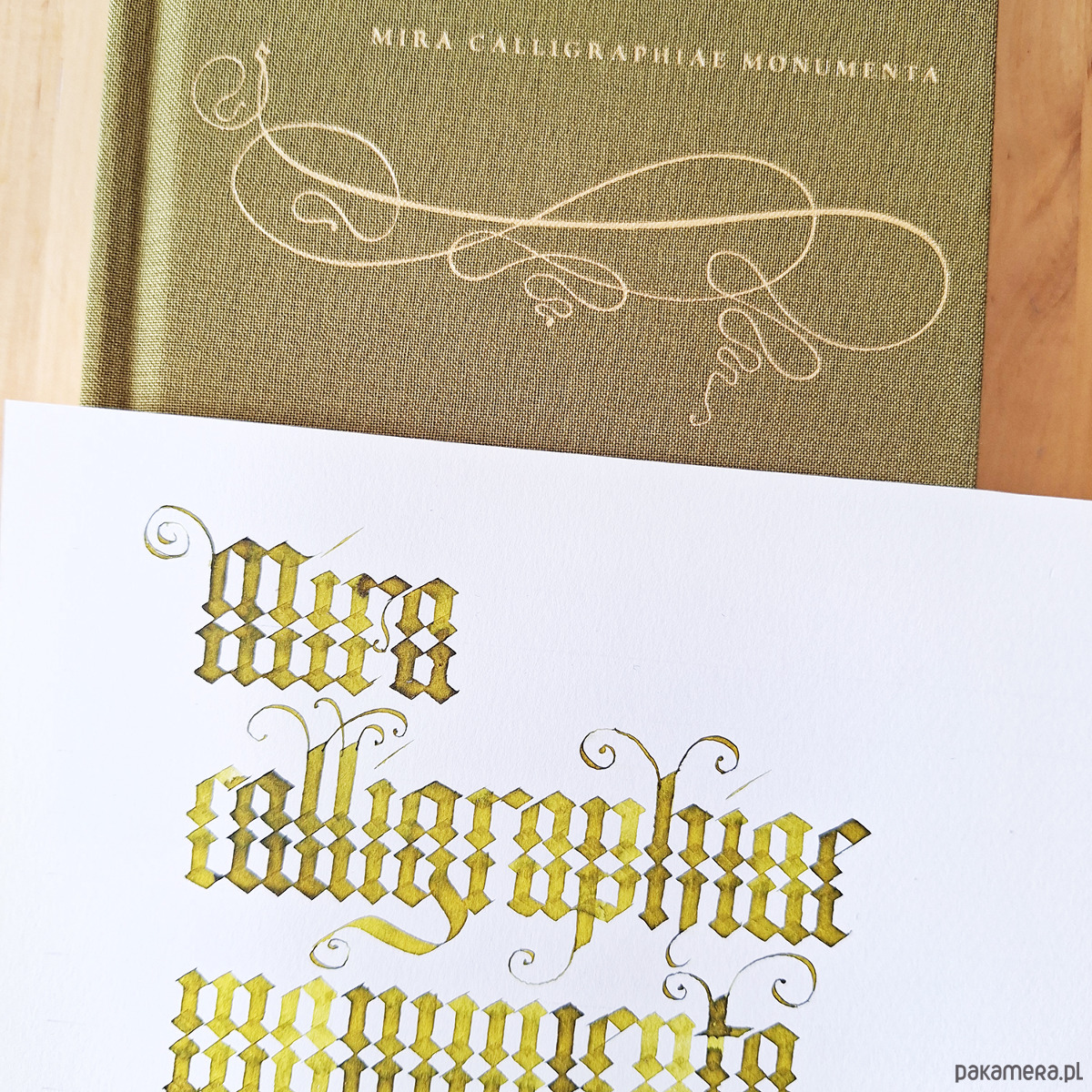 Warsztaty inne Pojedyncze zajęcia Kaligrafii Mira Calligraphiae Monumenta Środy 18:00-20:00 1
